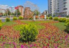 Büyükşehir Çiçek Açtı