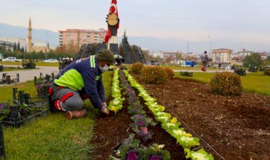 Şehir Çiçeklerle Renklendi