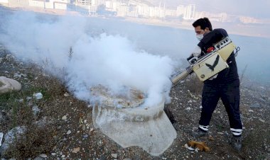 35 Bin Rögarda Dumanlama Yapılıyor