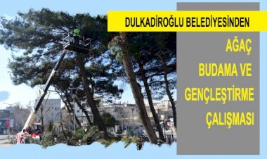DULKADİROĞLU’NDAN AĞAÇ BUDAMA VE GENÇLEŞTİRME ÇALIŞMASI