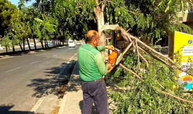 Büyükşehir Ekiplerinden Fırtına Mesaisi