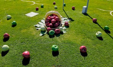 Usta Ellerden Çıkan Eserler Kavşakları Süslüyor