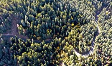 Doğa Harikası Yavşan’ın Yolu Baştan Sona Yenilendi