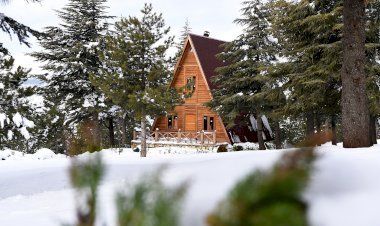 Yalnız Ardıç’ta Kartpostallık Görüntüler