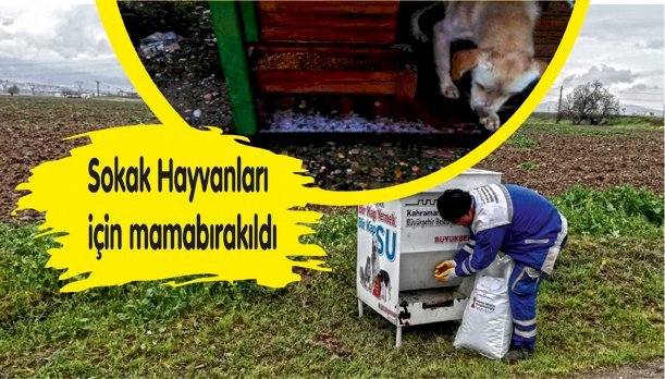 Sokaktaki Canlar Unutulmadı