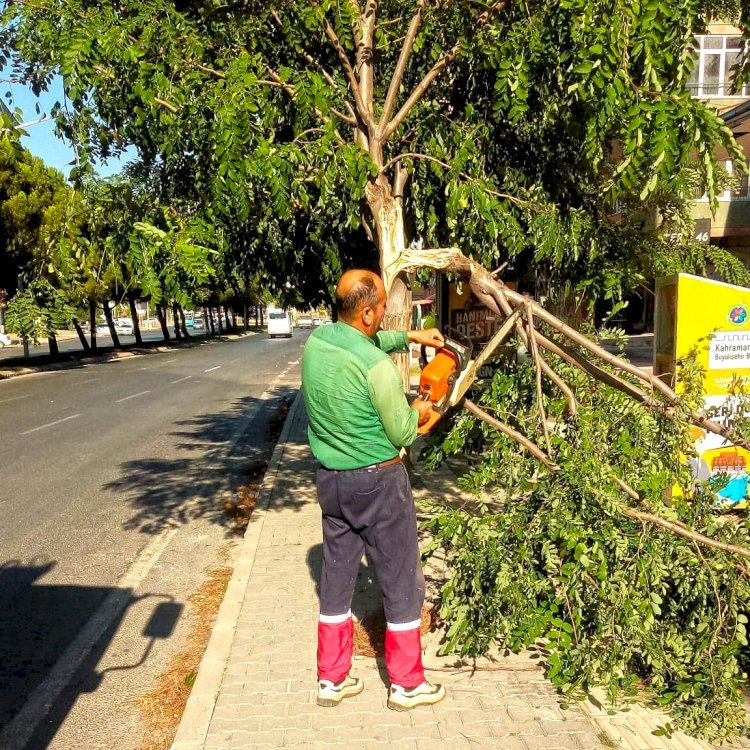 Büyükşehir Ekiplerinden Fırtına Mesaisi